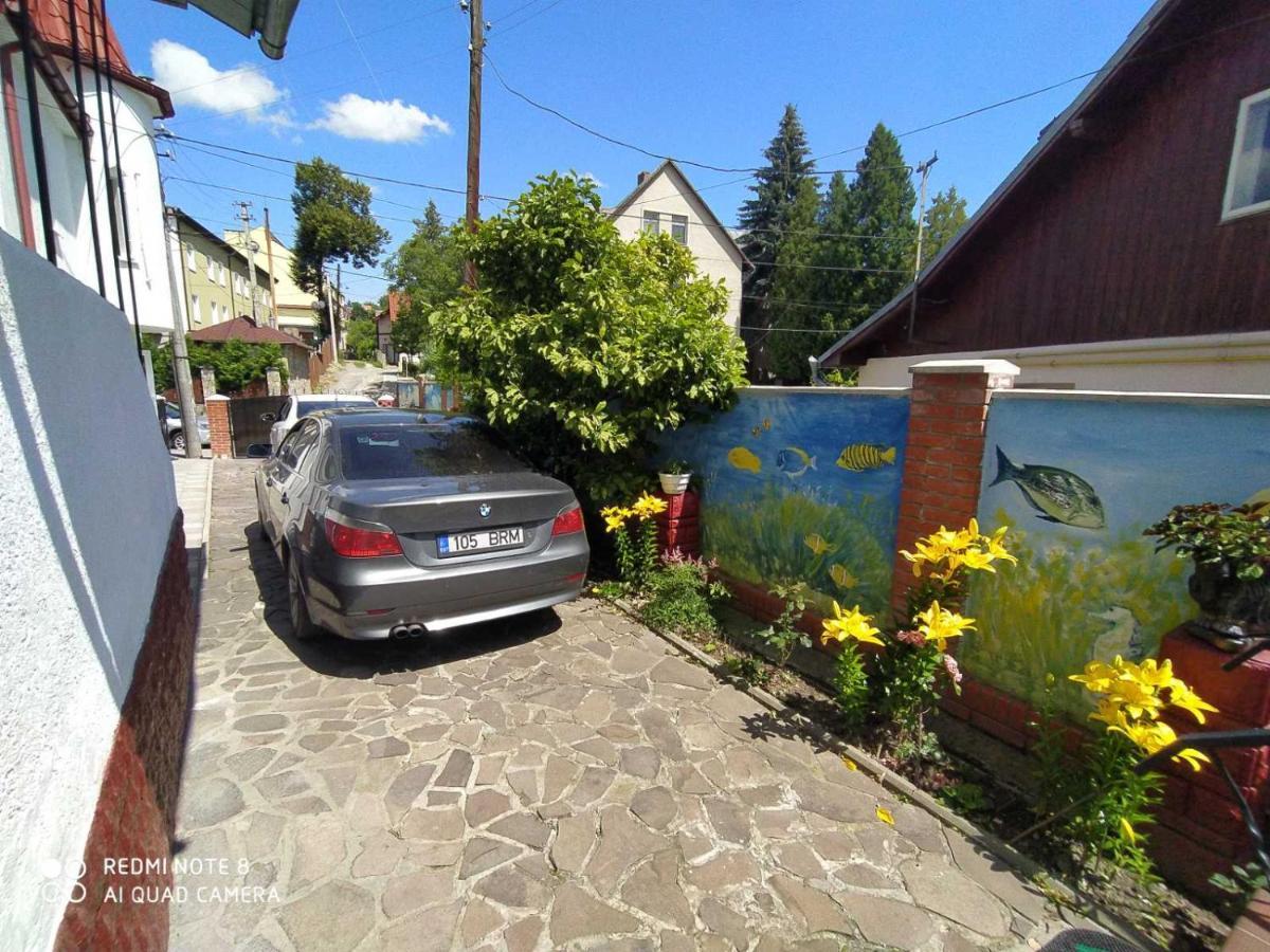 Sadyba Margaryta Truskawez Exterior foto